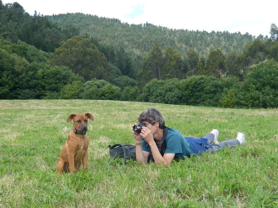 Las órdenes en el adiestramiento