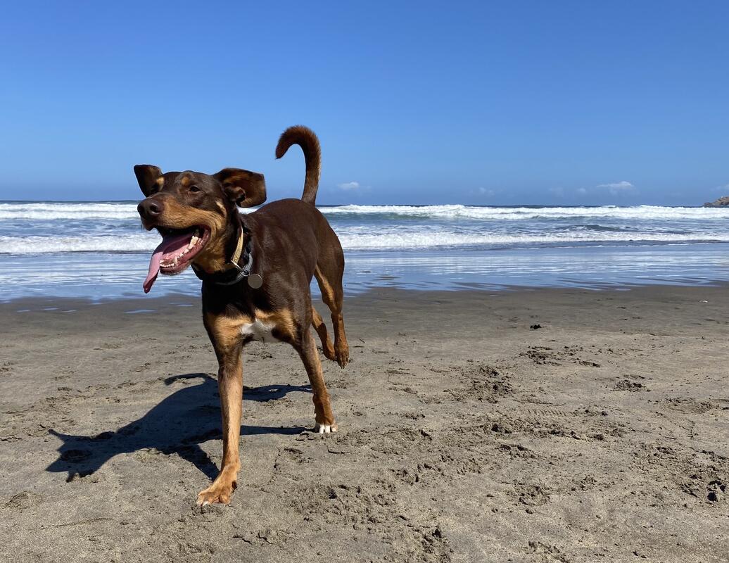 El golpe de calor: el peligro del verano