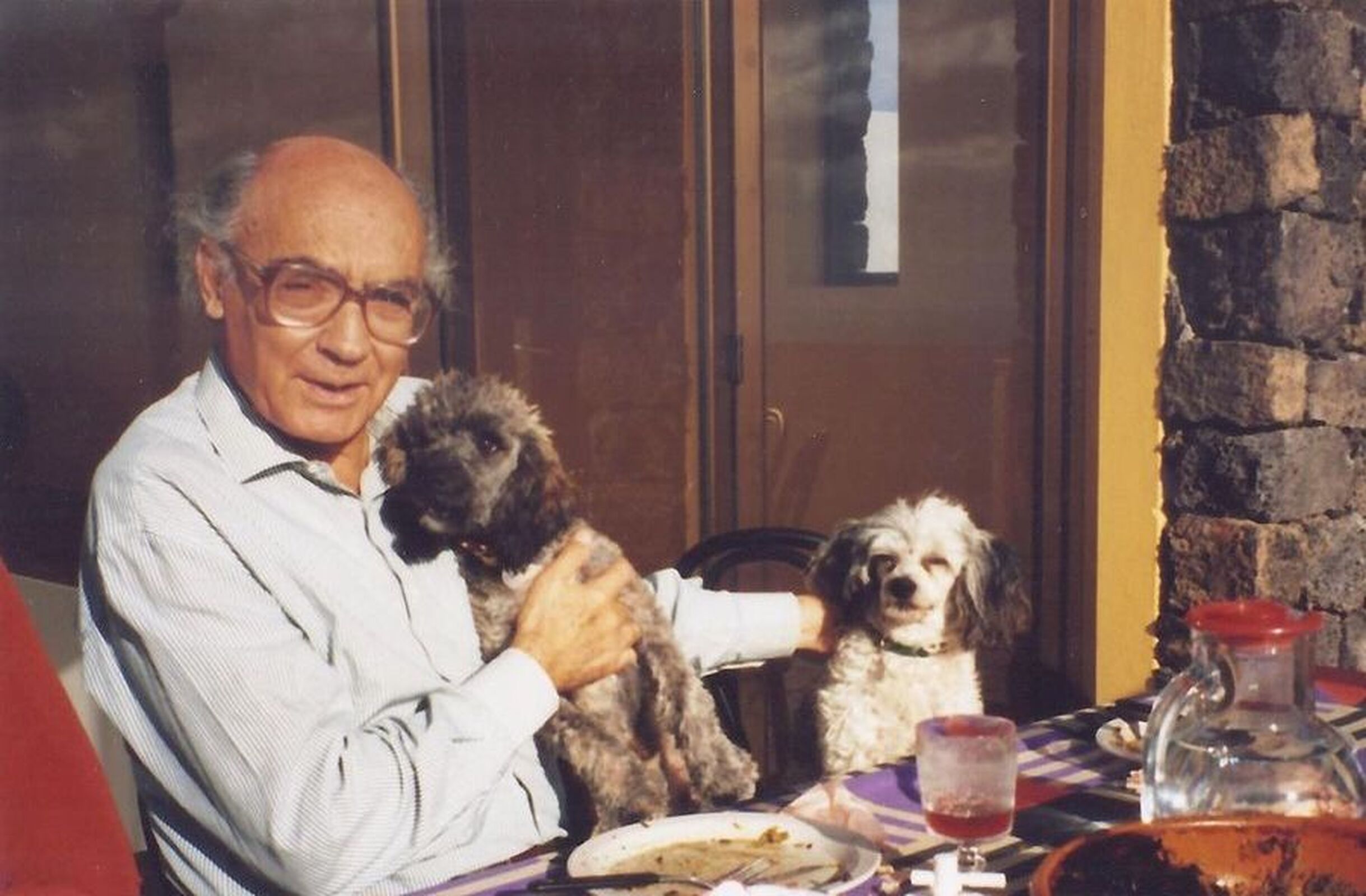 El perro da tres vueltas