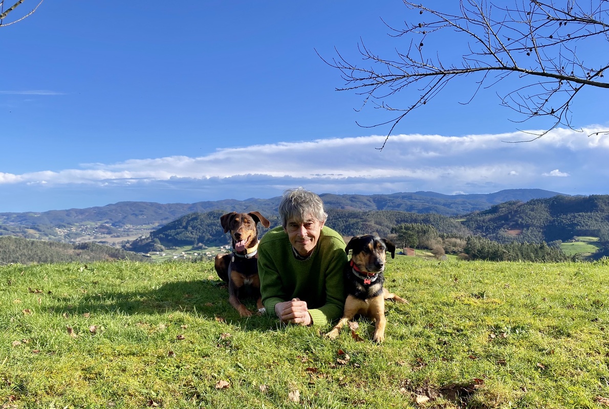 Cómo se comunican los perros: diferencias entre la comunicación canina y humana