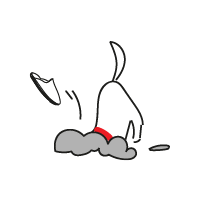 PROBLEMAS DE CONDUCTA