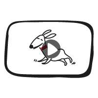 CREADOR DE CONTENIDOS